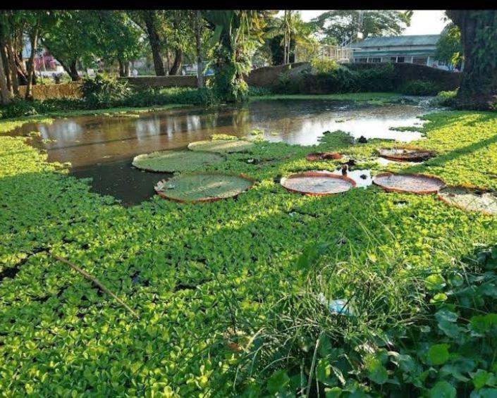 לטיסייה Hotel Alto Amazonas מראה חיצוני תמונה